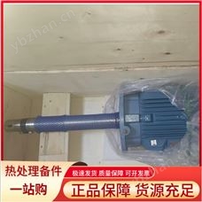 齊全瑞士進(jìn)口長軸電機(jī)
