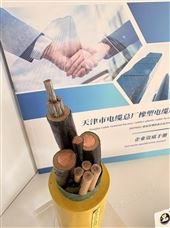 MCP-0.38/0.66KV采煤機軟電纜