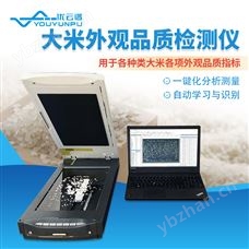 大米外觀品質(zhì)檢測儀