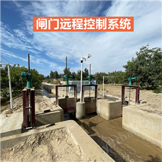 閘門遠(yuǎn)程控制系統(tǒng)