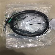 倍加福P+F網關EG2-T13