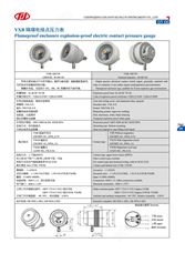 YXB 隔爆電接點壓力表