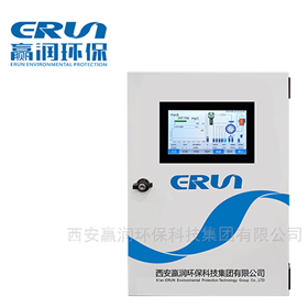 ERUN-SZ3-B2水质硬度在线监测仪