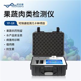 YP-GR果蔬肉类检测仪