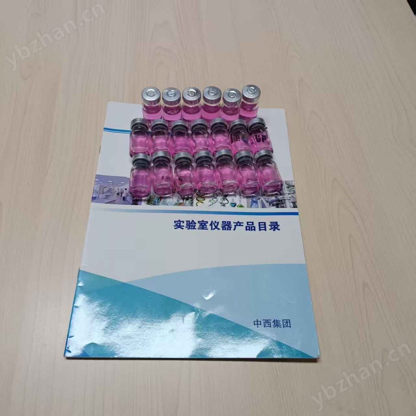 实验专用试剂-产H₂产乙酸菌库号：M91958