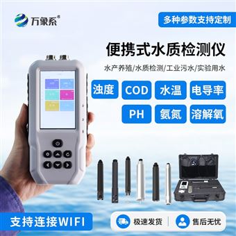 WX-SS03A便攜式六參數(shù)水質(zhì)檢測儀