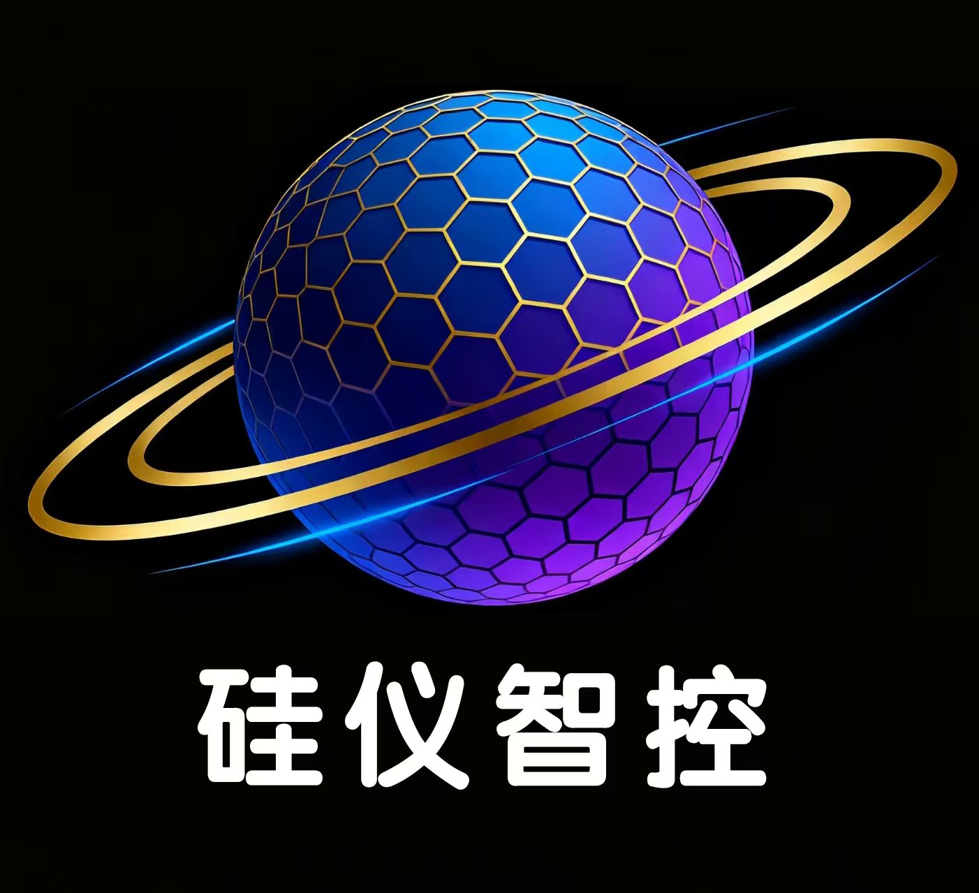 安徽硅仪智控科技有限公司