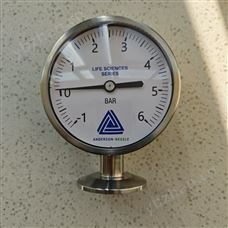 EL/061851094111A0000安德森耐格EL系列卫生型不锈钢压力表