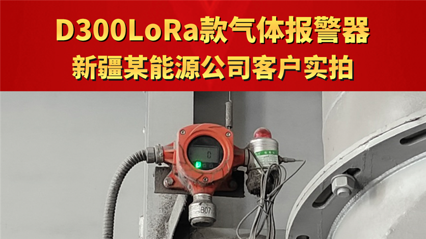 D300LoRa款气体报警器新疆某能源公司客户实拍