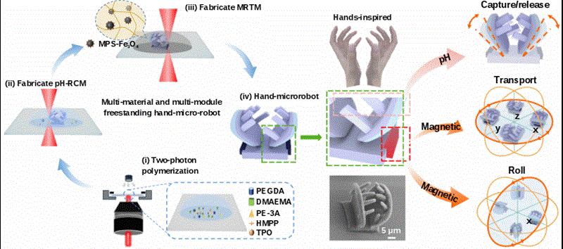 理化所3D微纳机器人研究取得新进展