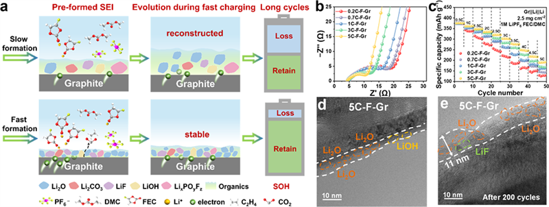电场调控的负极界面相提高锂电池快充性能