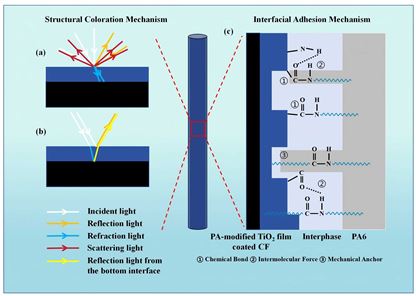 山西煤化所在高界面性能彩色碳纖維的結構調控方向取得重要進展