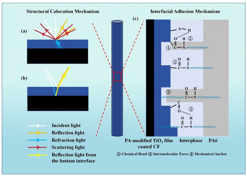 山西煤化所在高界面性能彩色碳纖維的結(jié)構(gòu)調(diào)控方向取得重要進(jìn)展
