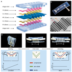 力学所在可拉伸曲率传感器方面取得进展