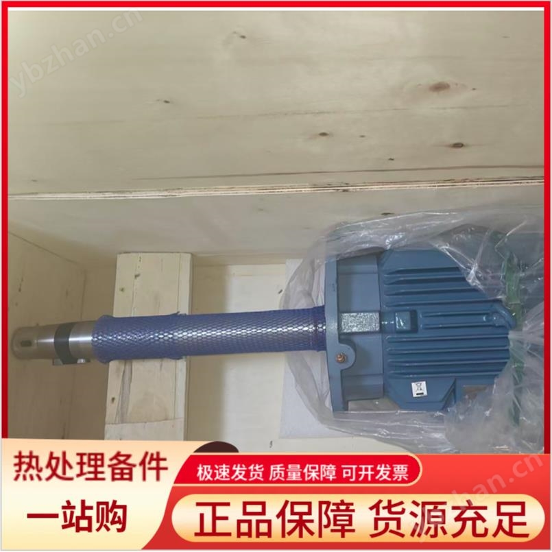 瑞士进口长轴电机