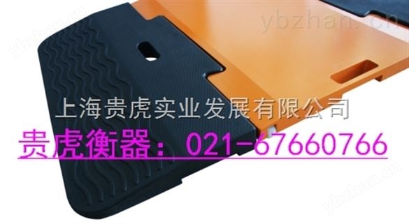 <整车称重仪_车辆轮重仪_汽车轮荷仪>-特殊衡器