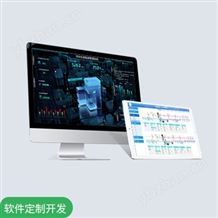 CET 软件定制开发服务