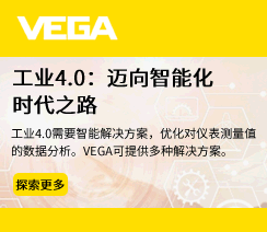 威格（中国）仪表有限公司