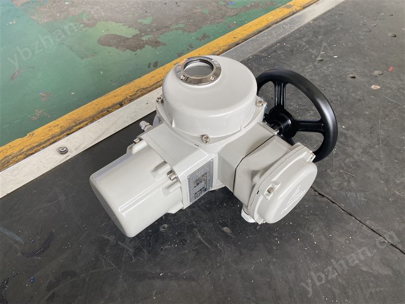 部分回转电动执行器