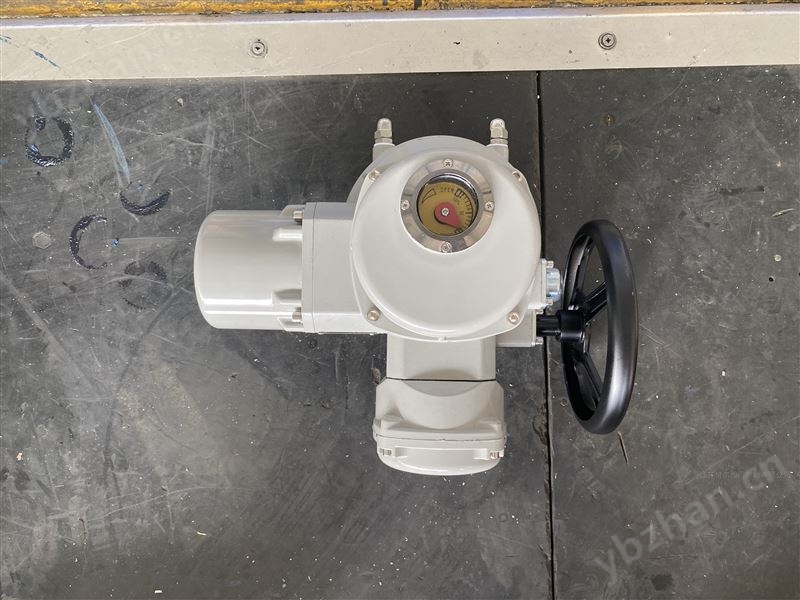 部分回转电动执行器