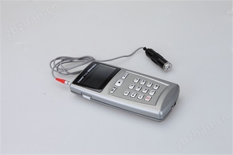 北京时代便携式测振仪-原TV310