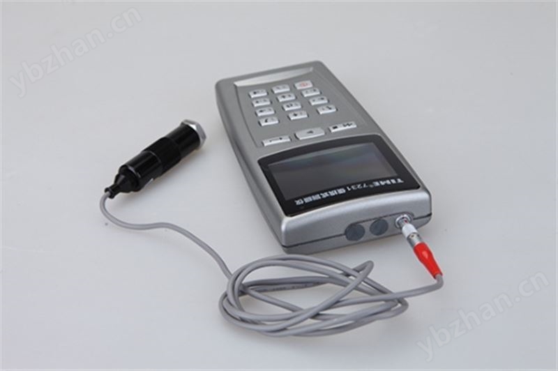 北京时代便携式测振仪-原TV310