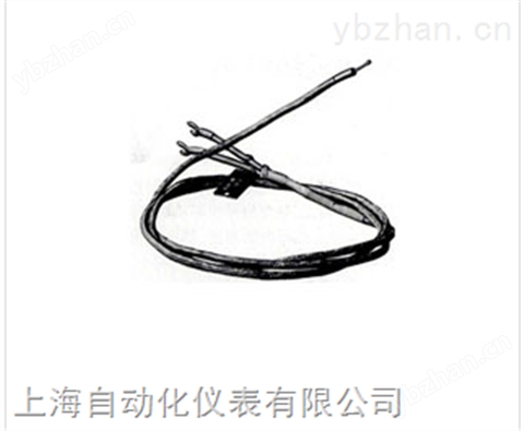 WRET-02型鎳鉻-銅鎳熱電偶-標準熱電偶
