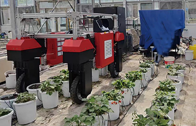 自走式无人车表型测量系统