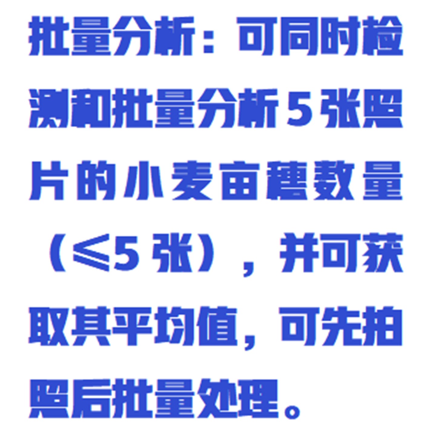 小麦表型检测系统型号:ZXXMBX-2库号:M358488