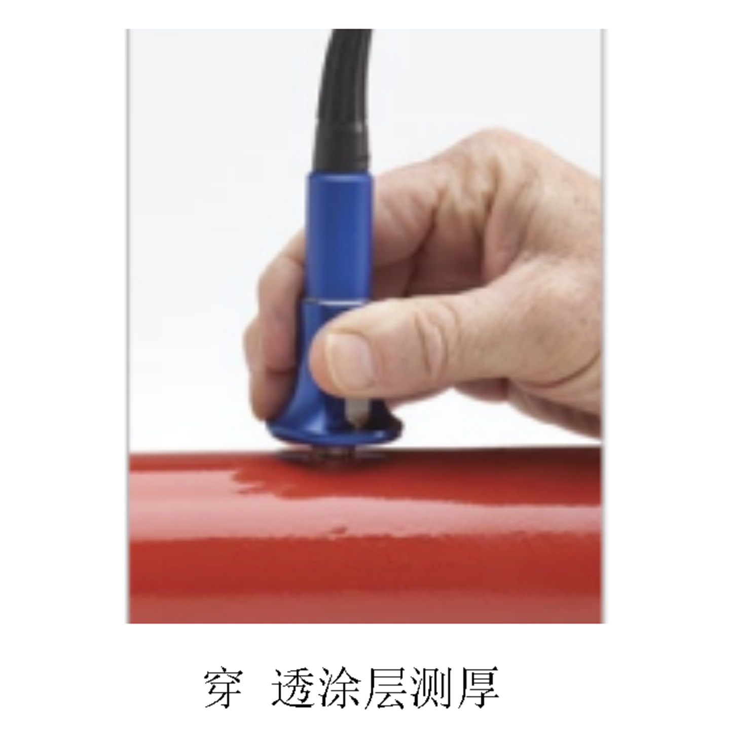 声波测厚仪 型号:YQLEEB12U库号：M411406