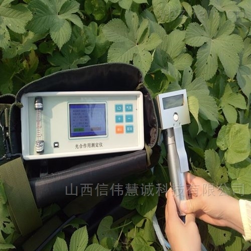 植物光合作用測(cè)定儀