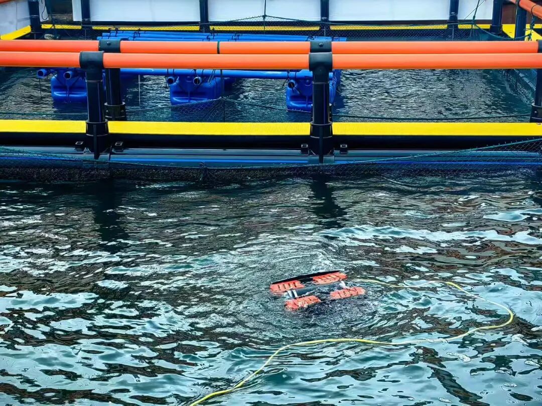 央视新闻、凤凰新闻报道!