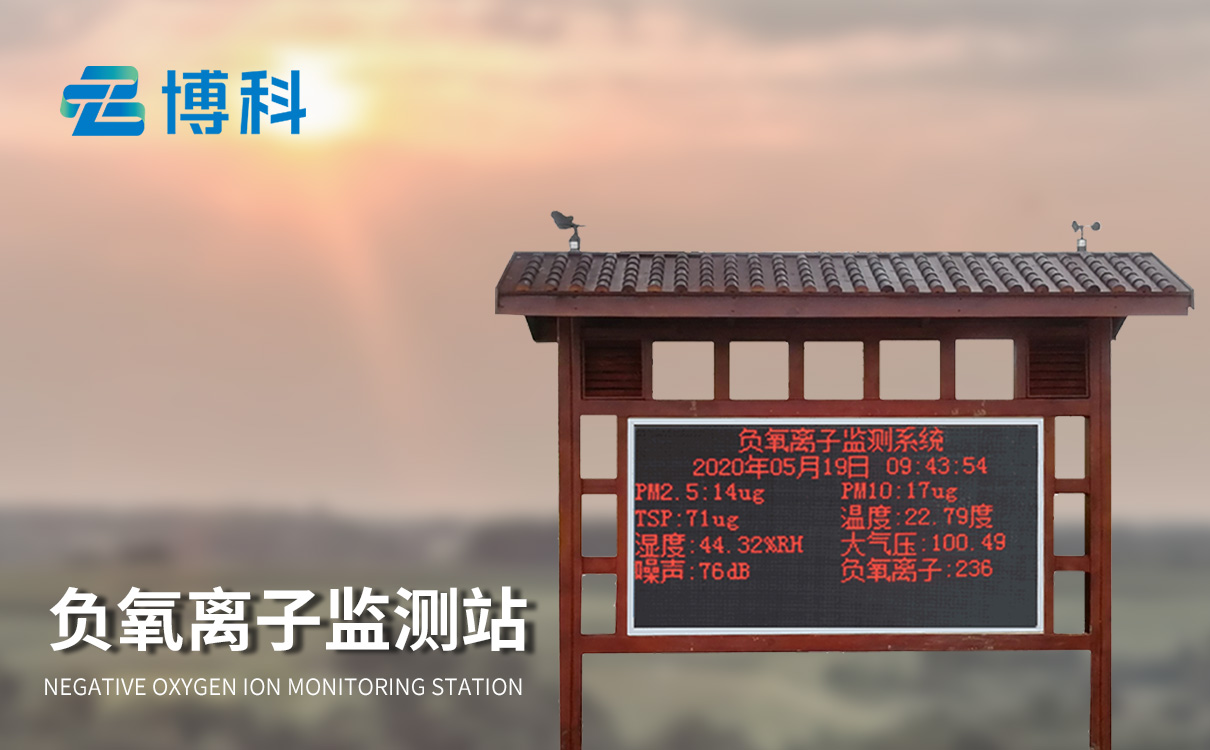 负离子监测系统