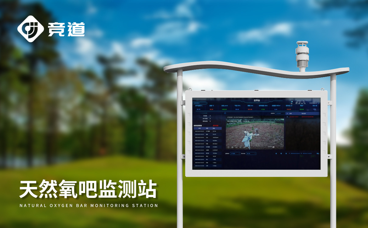 可定制空气负氧离子监测站价格