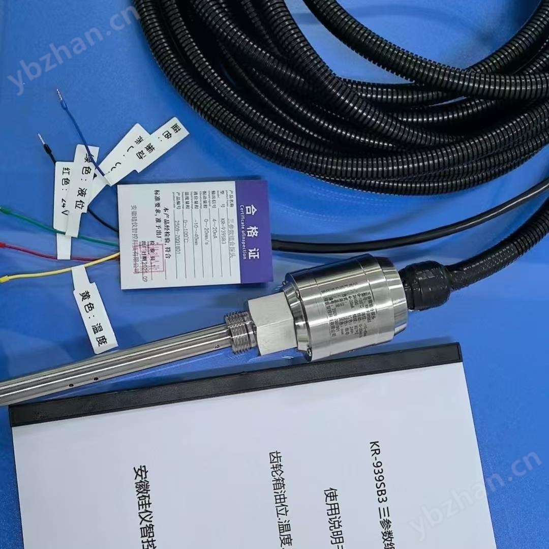 SWZT-3A/065 三参数组合探头