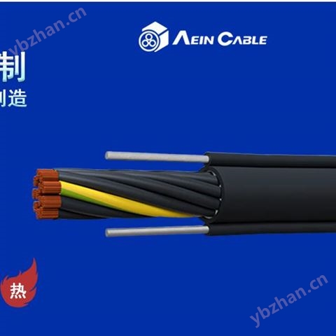 起重机专用双钢丝葫芦手柄电缆