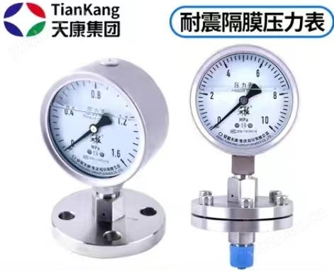 防腐膜片式压力表-膜片压力表