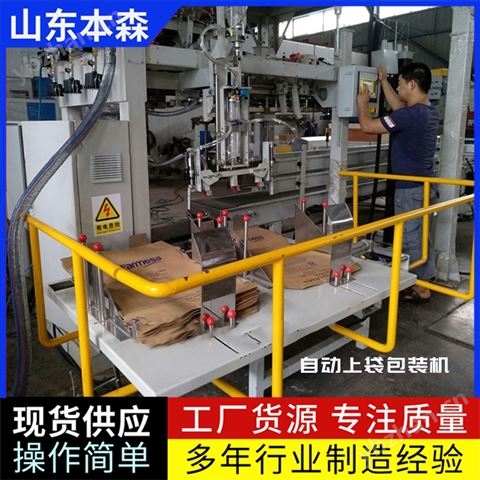 雙工位自動(dòng)上袋機(jī)全自動(dòng)包裝機(jī)