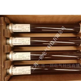 1YHB00000000360高压熔断器